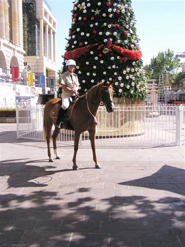 SES Mounted Section